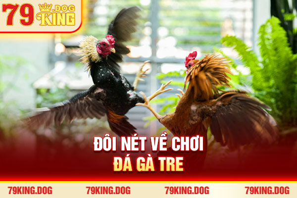 Đôi nét về chơi đá gà tre Đôi nét về chơi đá gà tre