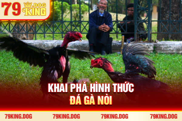 Khai phá hình thức đá gà nòi Khai phá hình thức đá gà nòi