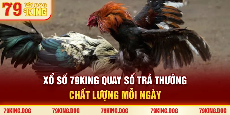 Xổ Số 79king | Quay Số Trả Thưởng Chất Lượng Mỗi Ngày